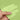 500pcs Light Green Gift Wrapping Tissue Packaging Paper 50cm x 70cm Recyclable Eco-Friendly - ozpack.au