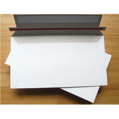 Card Mailer 110 x 220 mm DL 300gsm Business Envelope Tough Bag Replacements - ozpack.au