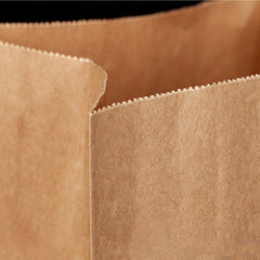 27 x 15 x 9cm Large Brown Kraft Paper Bags Take Away Food Lolly Grocery Buffet Craft Gift Market Bag - ozpack.au